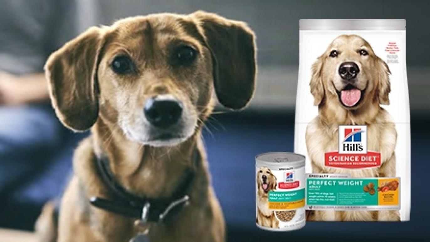 Hill's Science Diet Dog