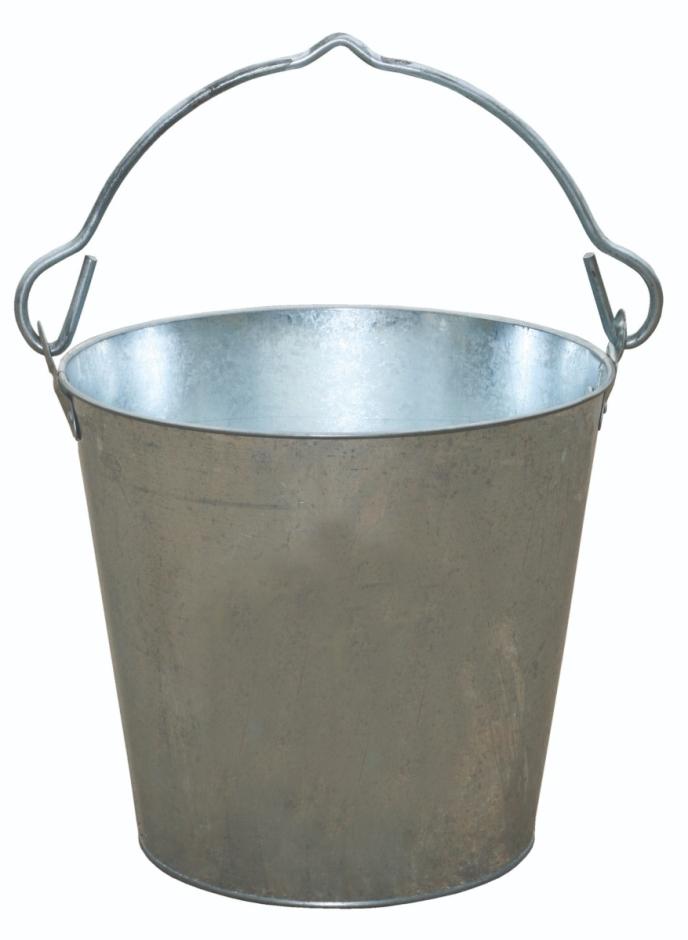 Little Giant Galvanized Dairy Pail