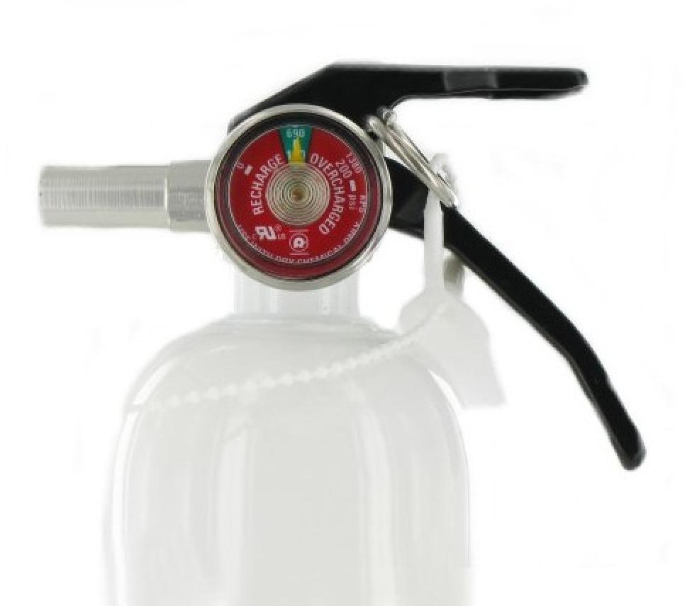 First Alert Rechargeable Recreation Fire Extinguisher