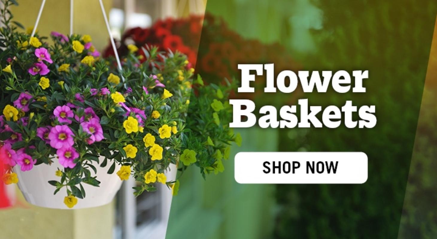Flower Baskets