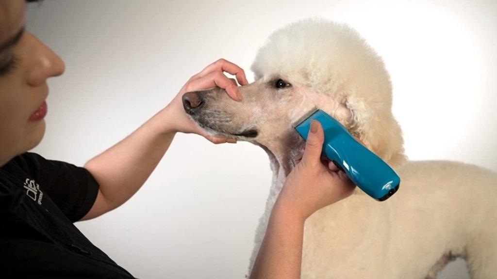 Grooming & Show Supplies Products