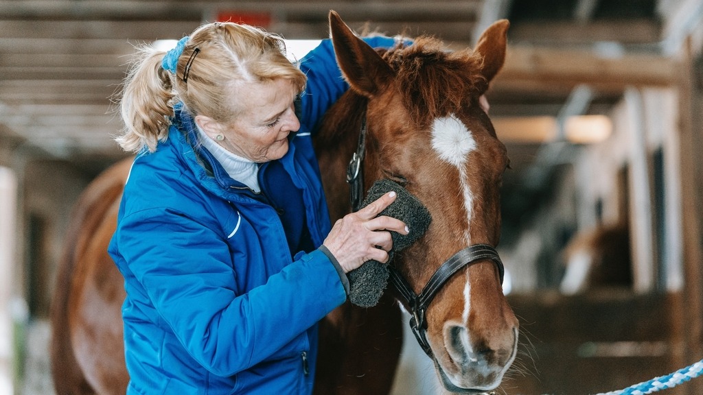 Grooming & Show Products