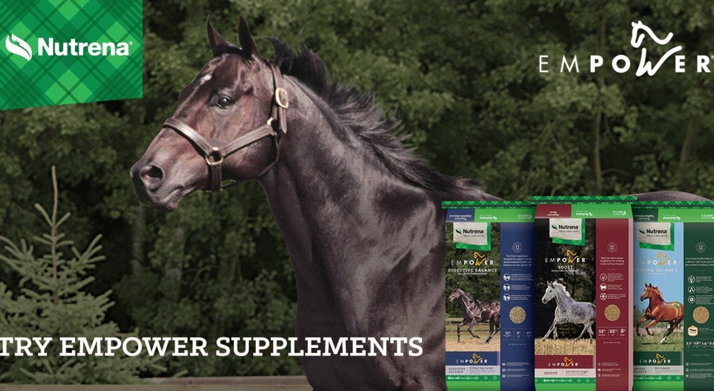 Empower Supplements are designed for your horses' specific needs. Make sure they get all the nutrition they need from high-quality ingredients. Three great formulas are available. Stop in today to try a bag! Shipton's Big R| Horse running with product images of various empower equine feed products