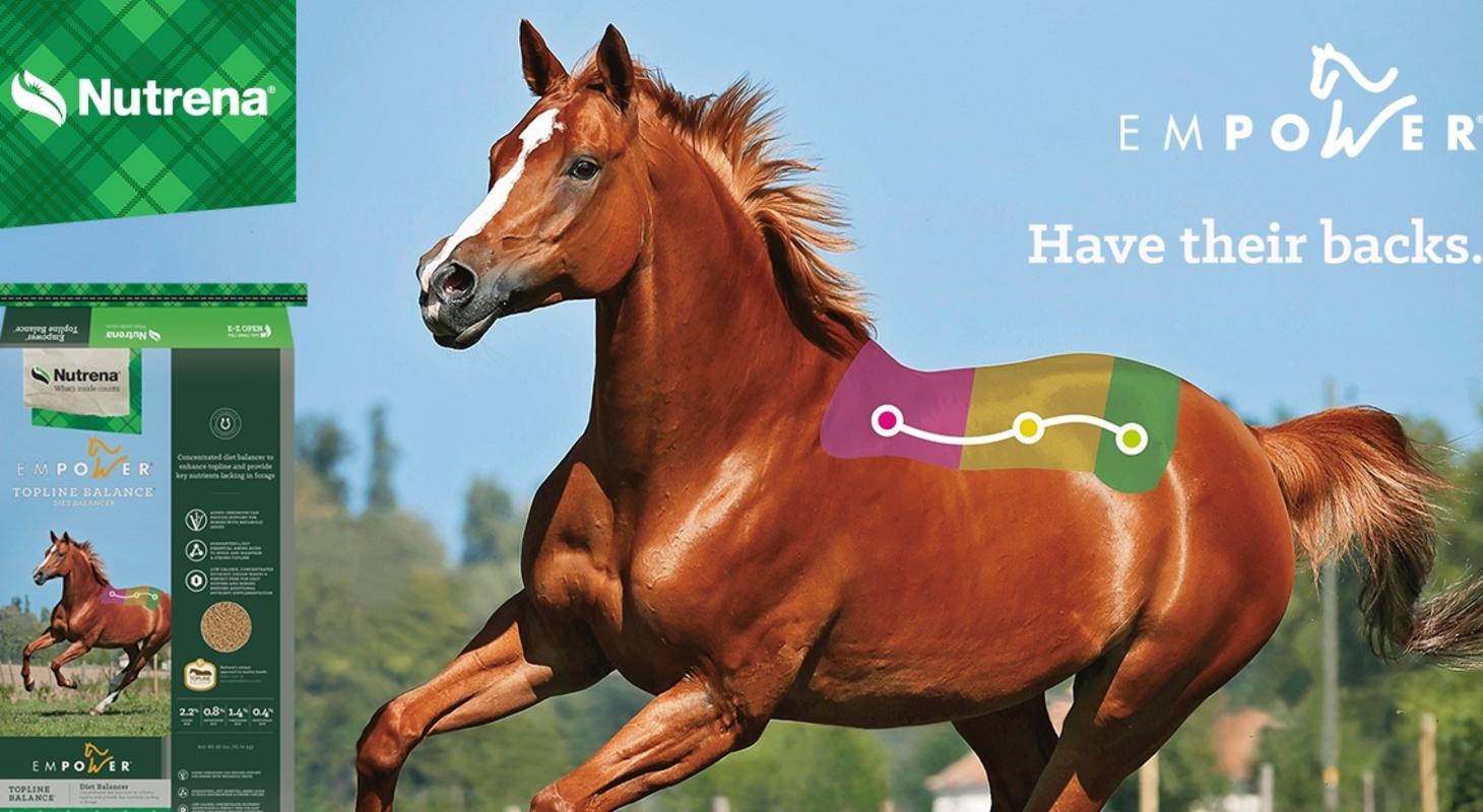 Empower Topline Balance Diet Balancer is designed to round out nutrition for your horses that get adequate energy from good quality forage or pasture. The low-feeding rate is a great benefit, making it the perfect partner with pasture or hay, or as a top dress to another feed. Stop in and try a bag today! Shipton's Big R Horse with spine highlighted and product image in front of horse